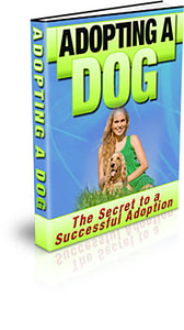 adoptdog_cover_b 3