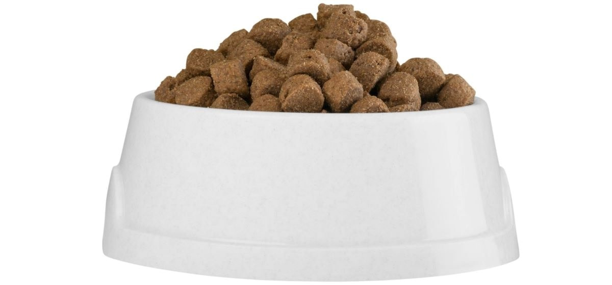 Dog Food Ingredients To Avoid 7 Harmful Additives